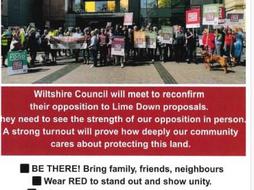 Stop Lime Down - Show your support at Wiltshire's Full Council Meeting